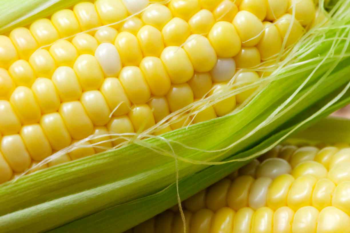 corn