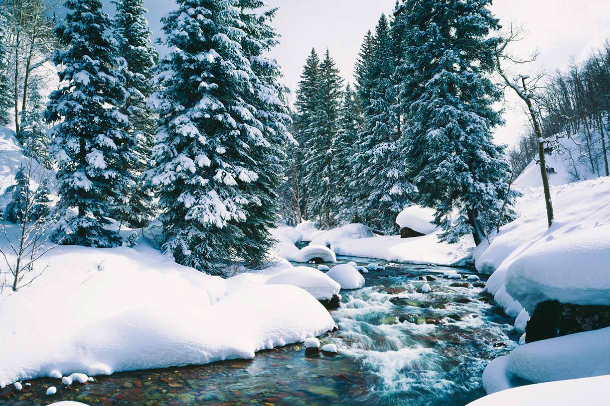 Brian notable leader