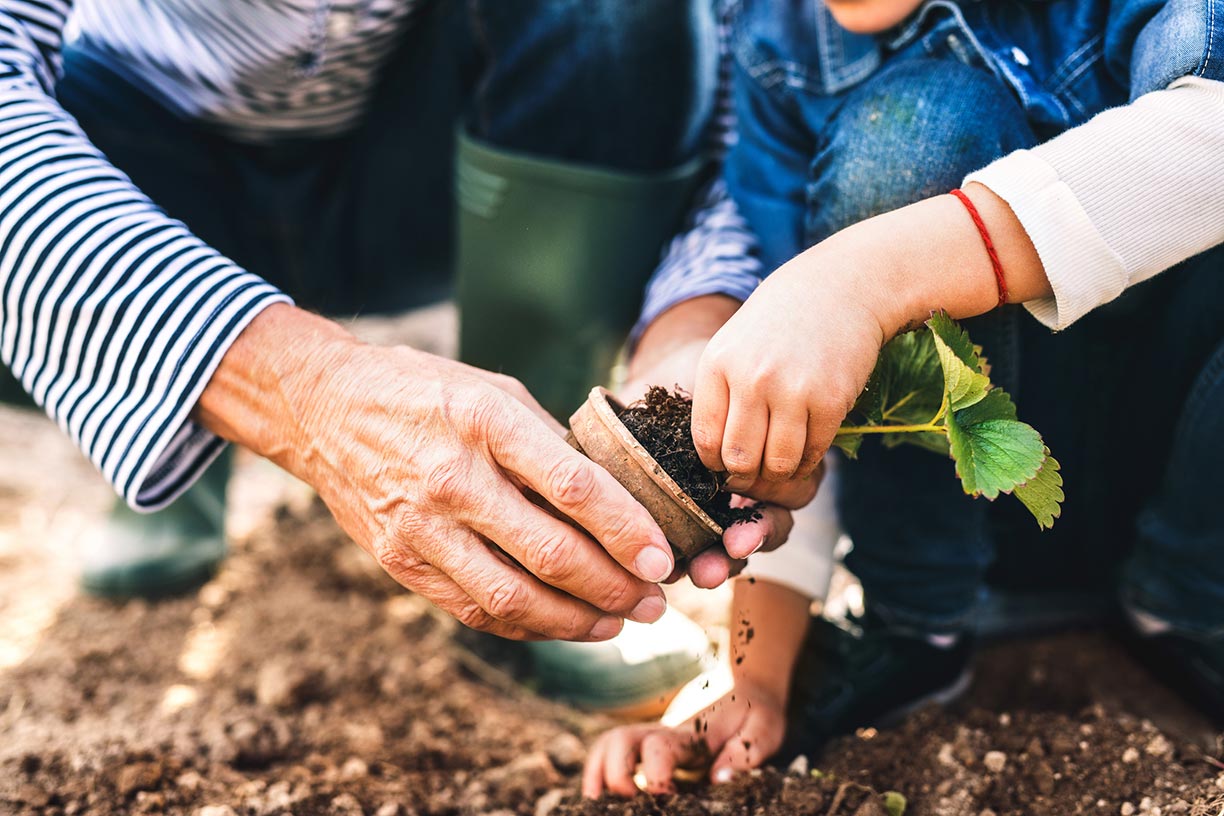 Grandparent and grandkid gardening together
